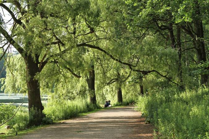 2017720-high-park.jpg-resize-_opacity_100-frame_bg_color_FFF-h_2500-gravity_center-q_70-preserve_ratio_true-w_1400_