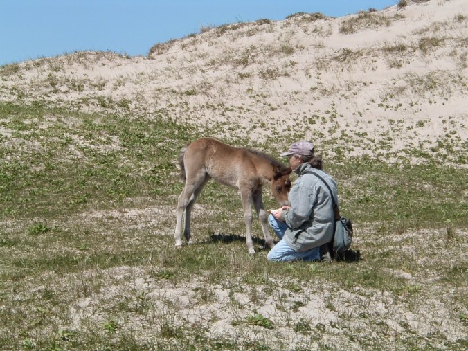 Image result for Zoe Lucas