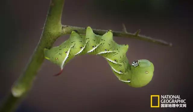 7d1c8e96gw1f47kftn4noj20kn0ddq5t (1)