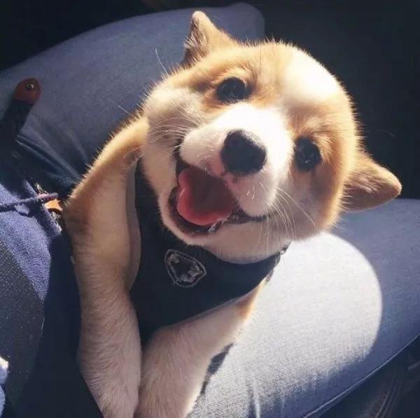 WeChat Image_20170926151305