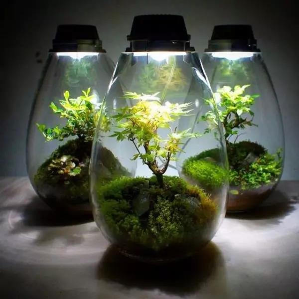 WeChat Image_20171005085608